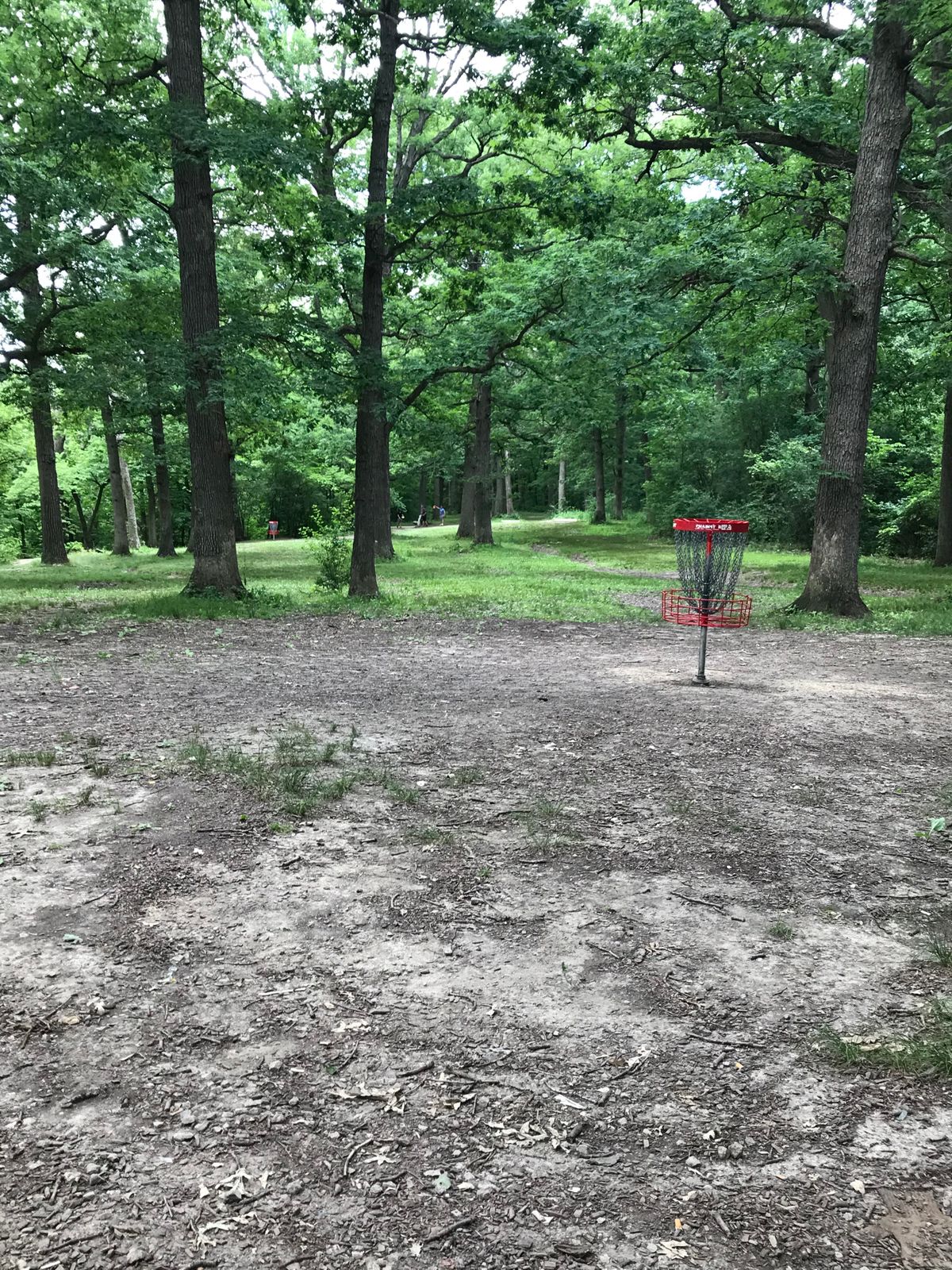 Hole 18 basket