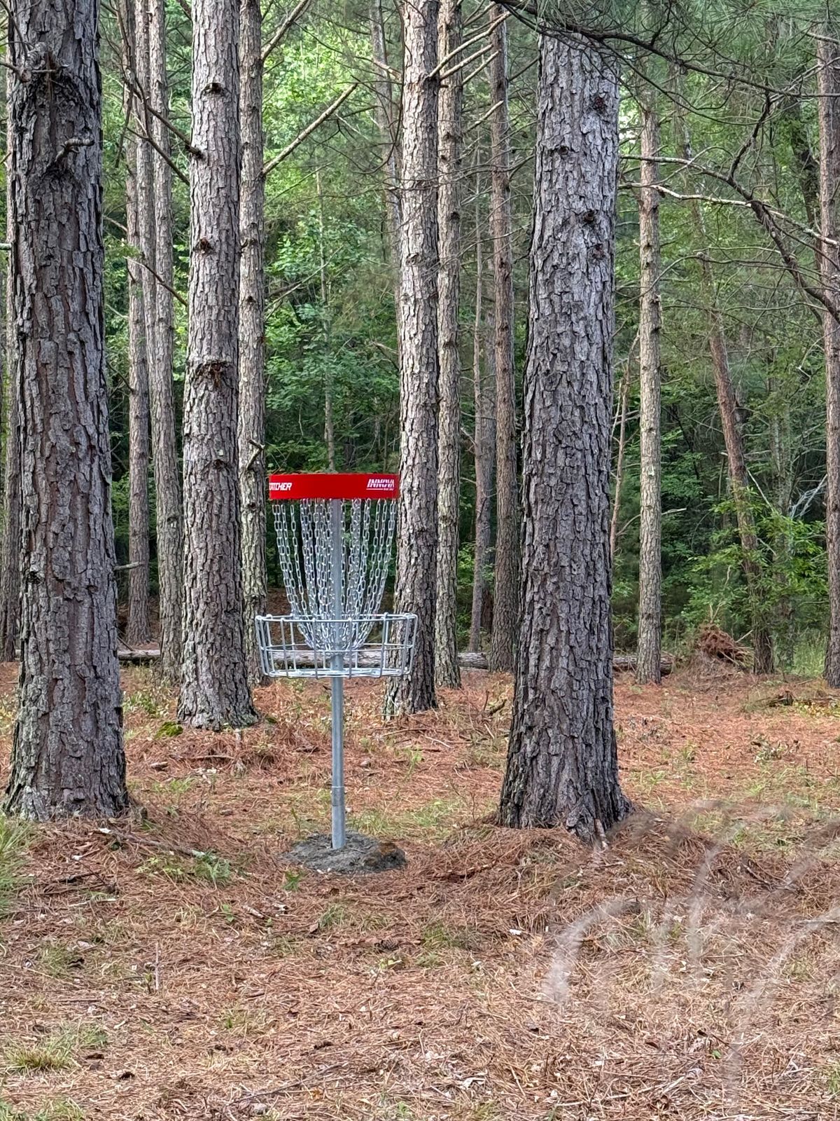 Hole 13