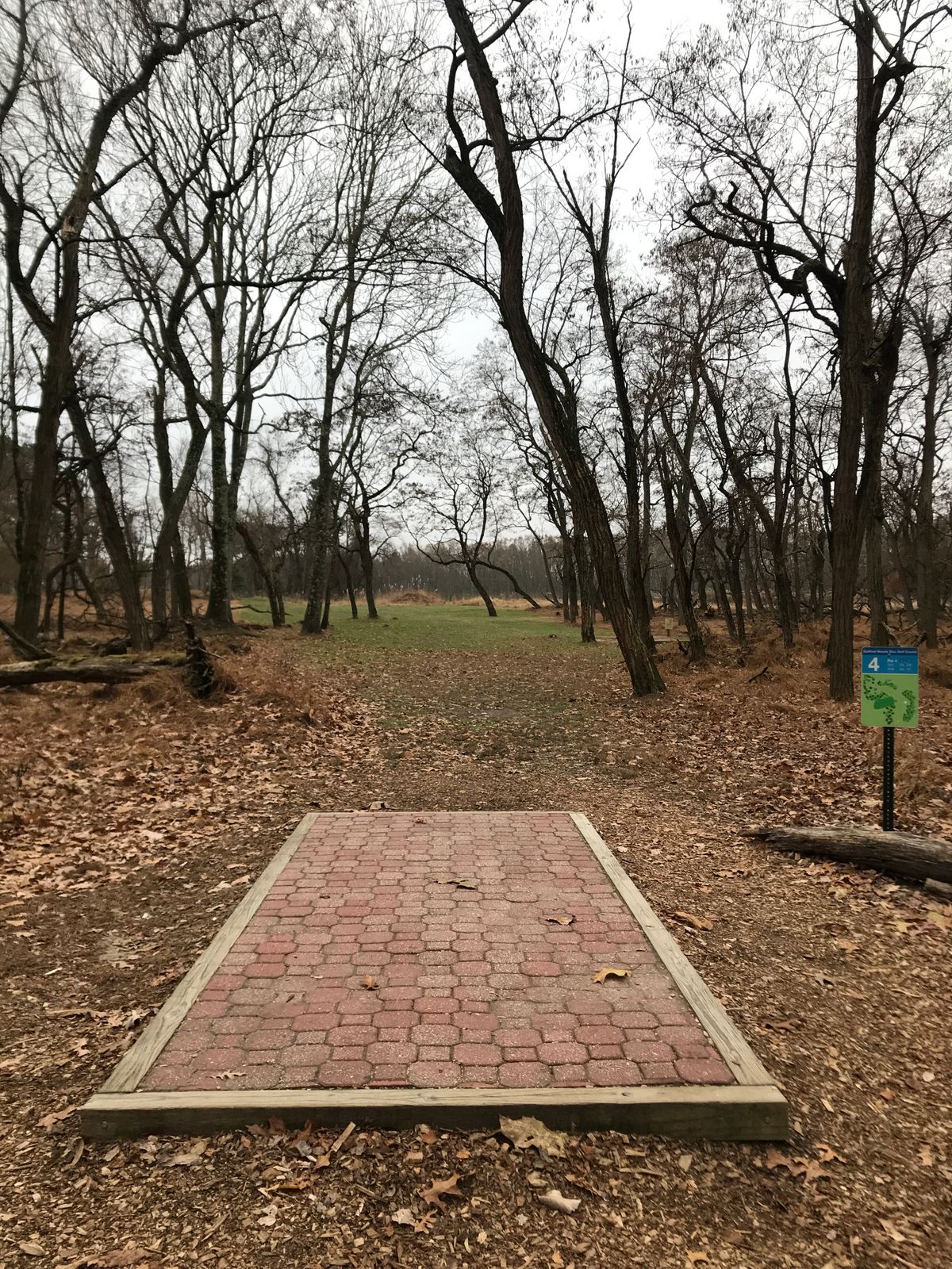 Hole 4 long tee