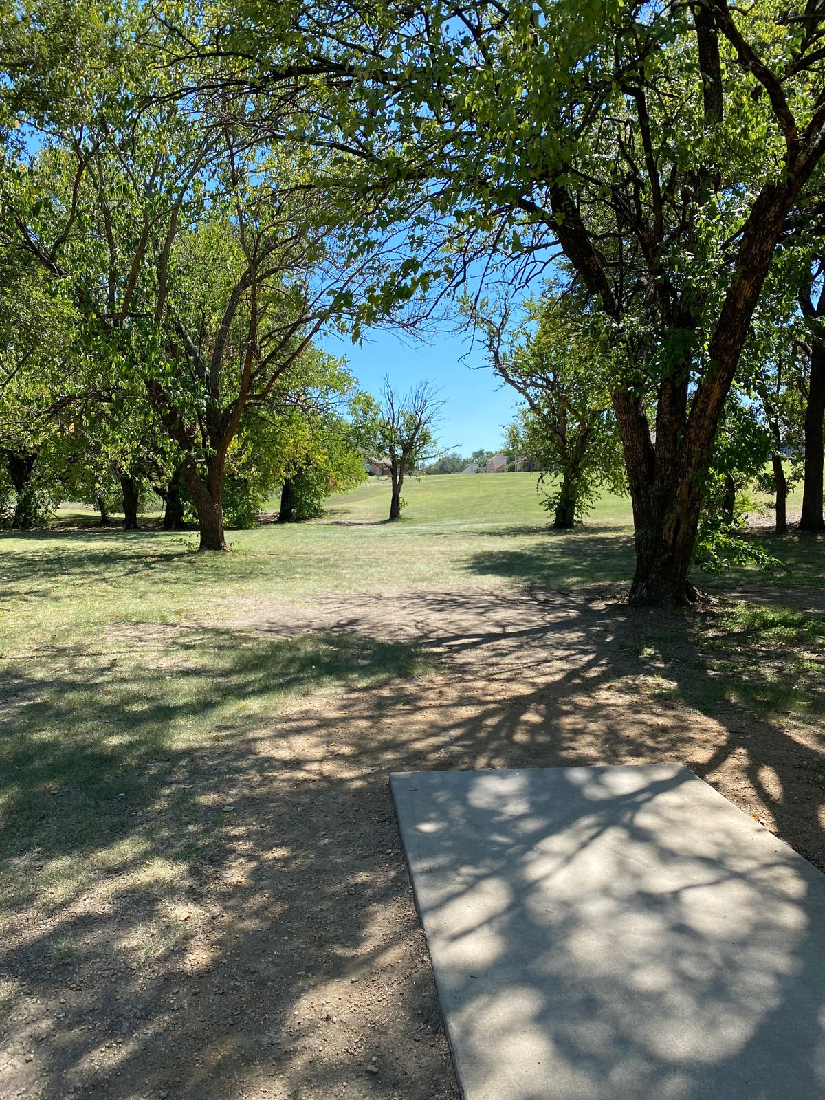 Hole 16’s tee pad. The basket is midway up the hill in the distance, left of that center tree.
