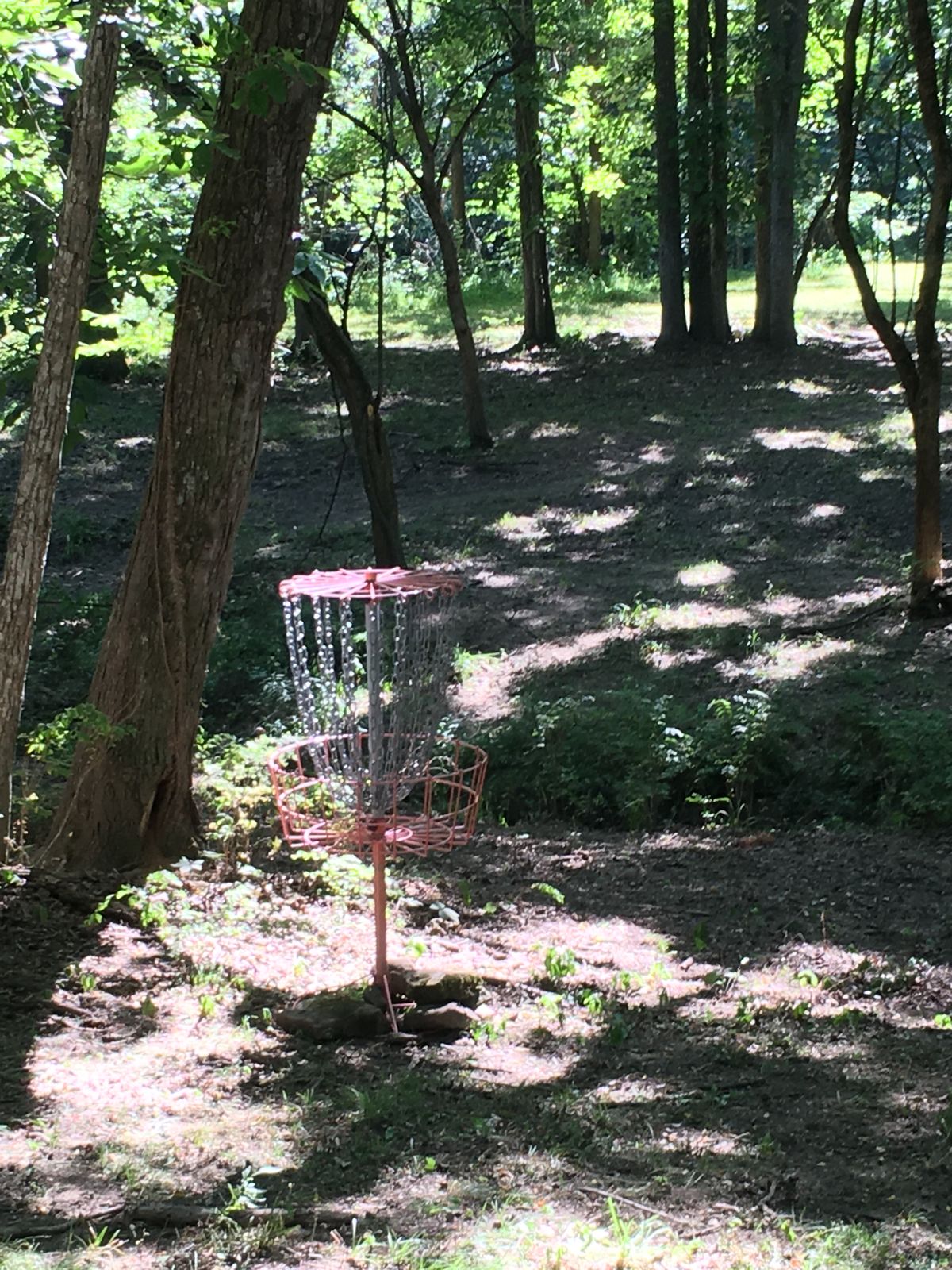 Hole 7 Basket