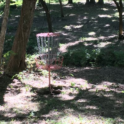 Hole 7 Basket