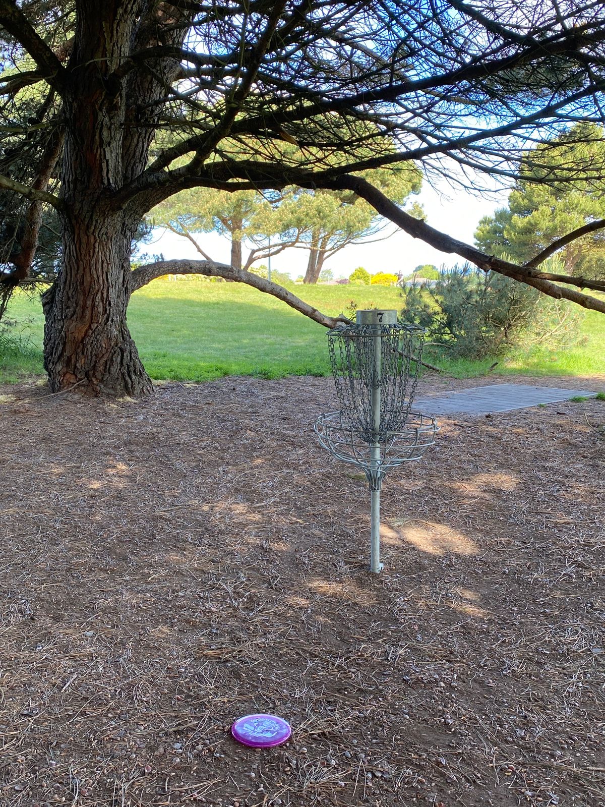 Parked at the 7th basket, 8th tee behind.