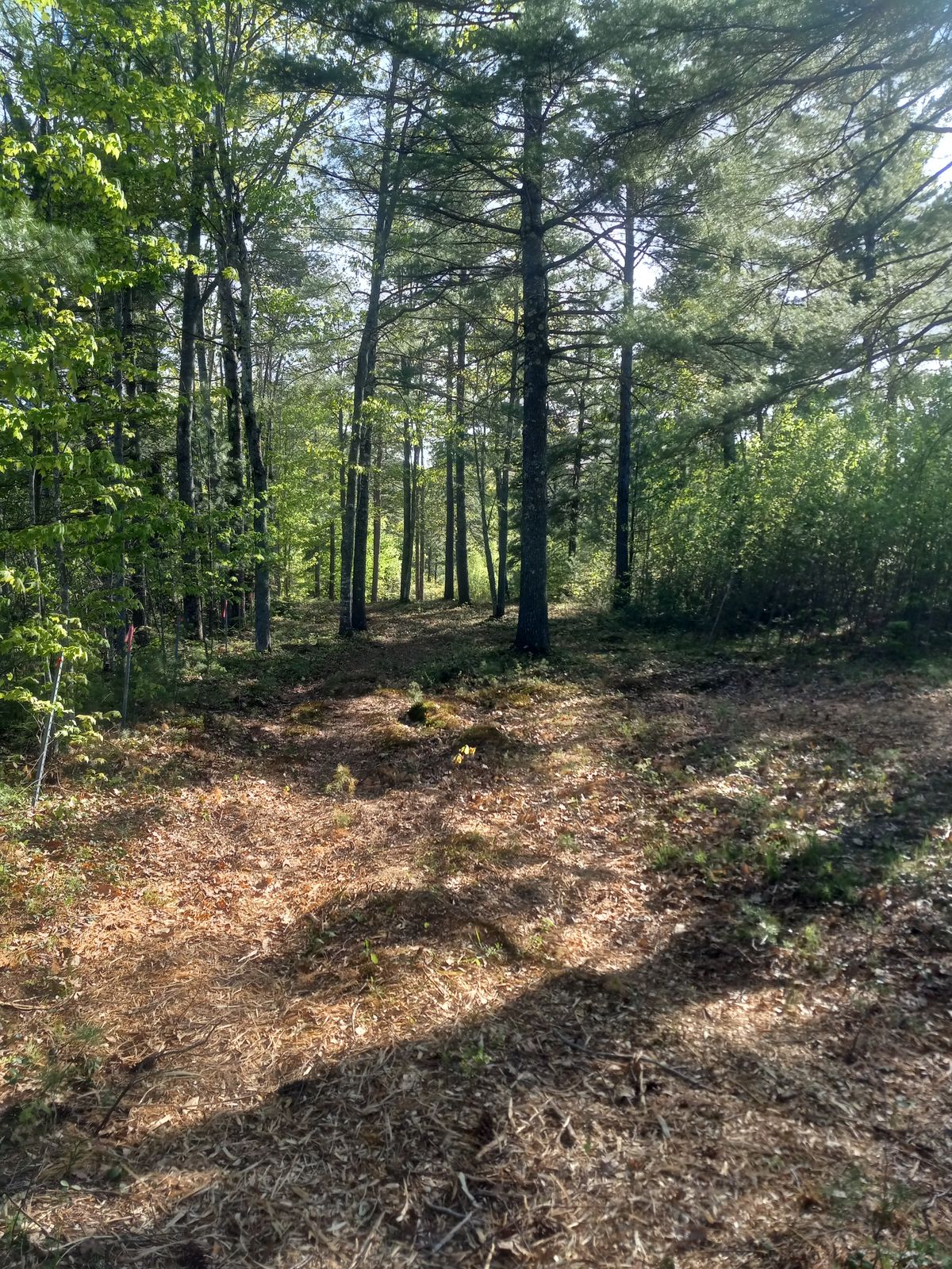 Hole 8 from tee to hill top