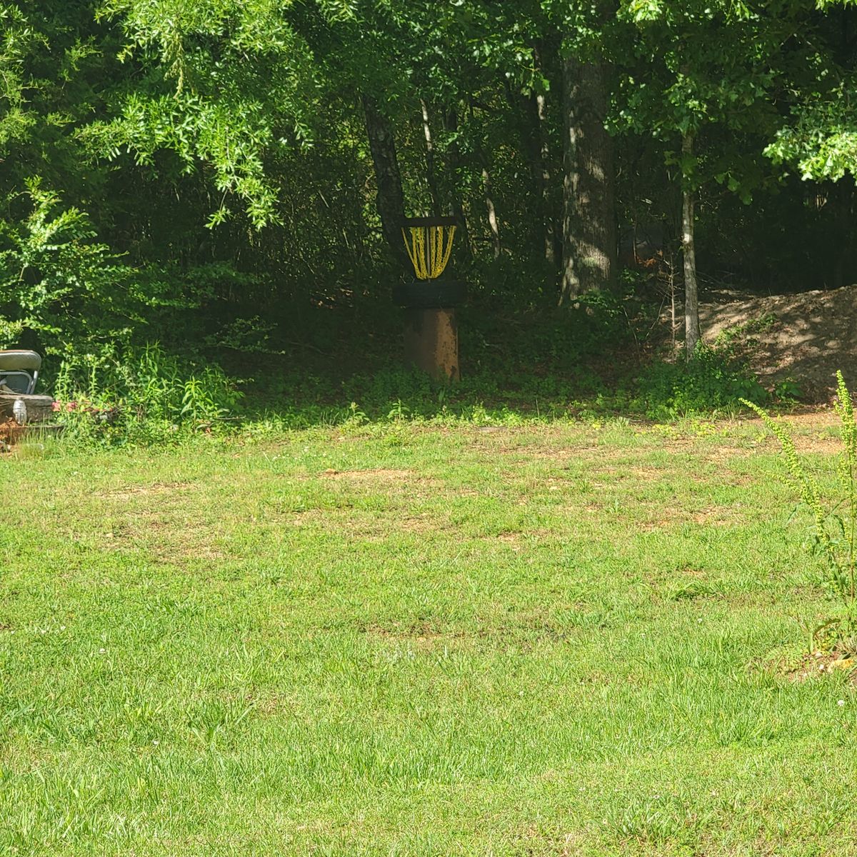 Hole 2 basket home made. Only made basket on the coarse. The rest are premium. This one is just neat and plays decent too.