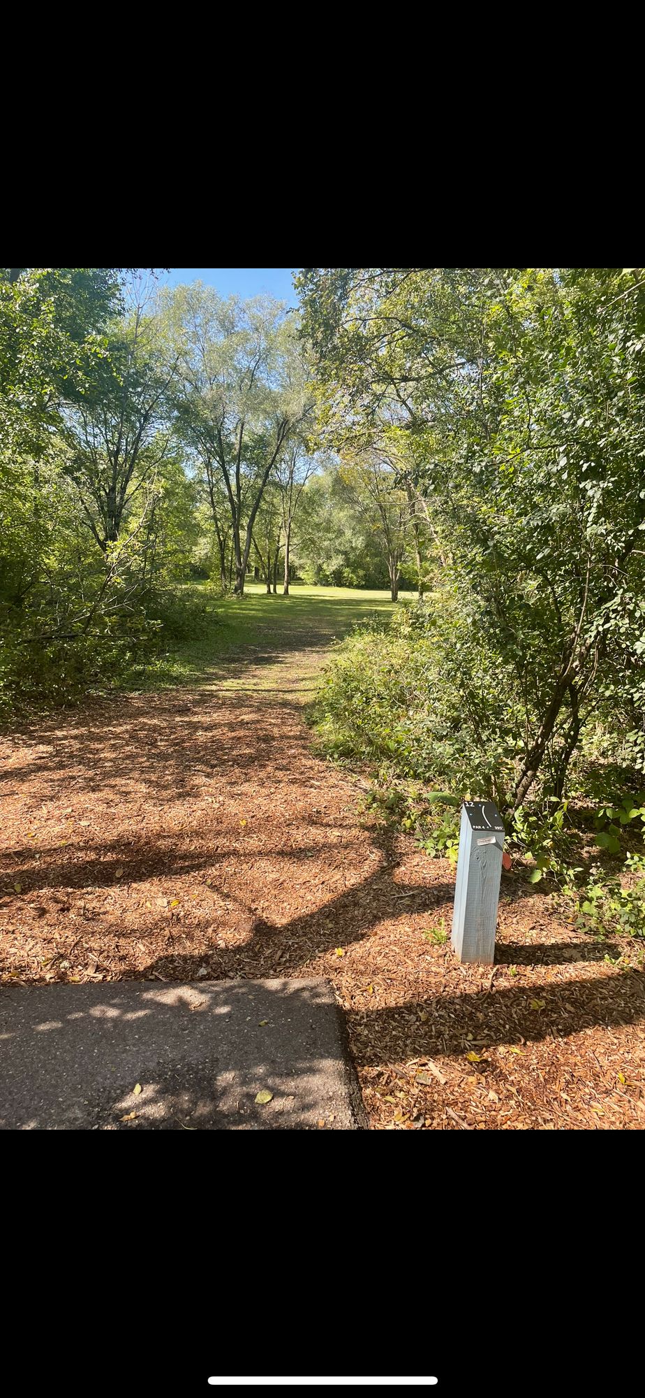 Hole 12 teepad