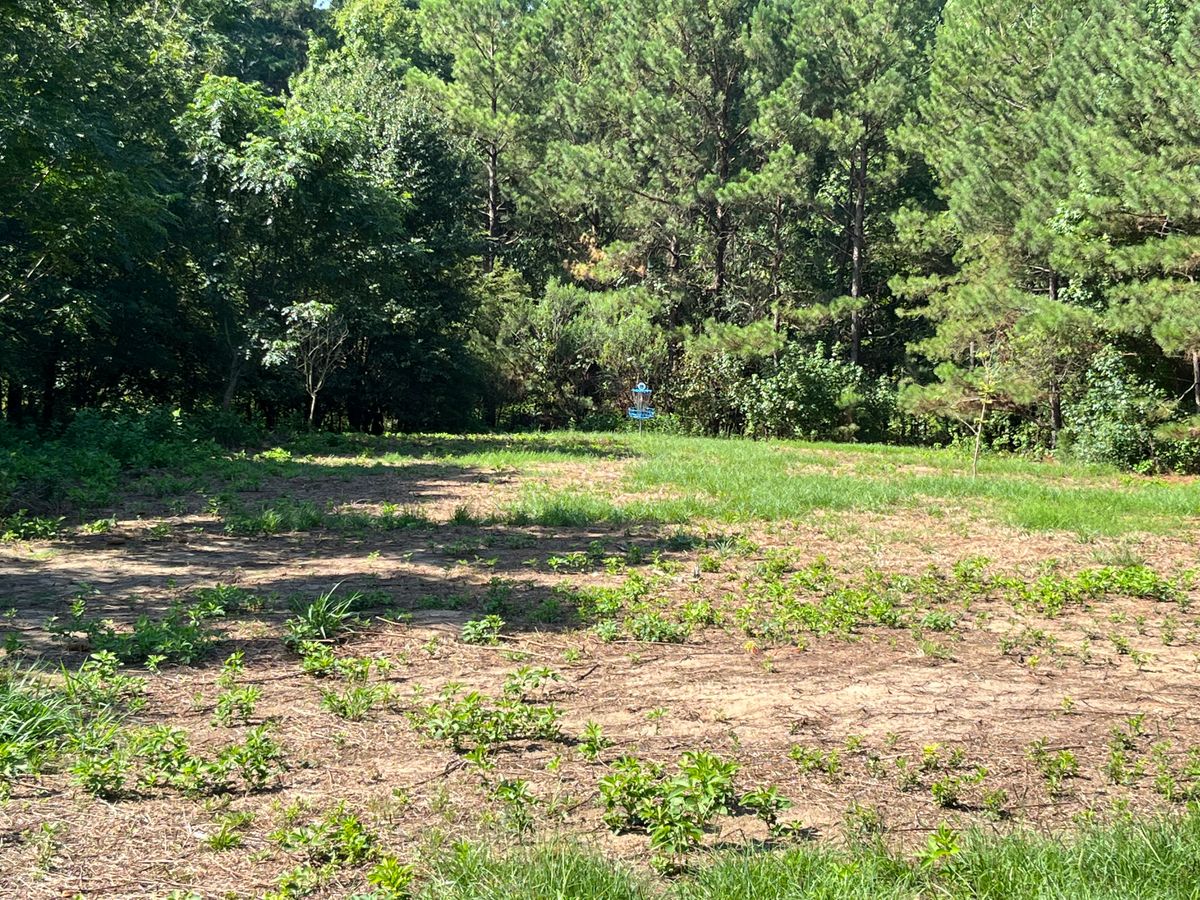 Hole 1 basket