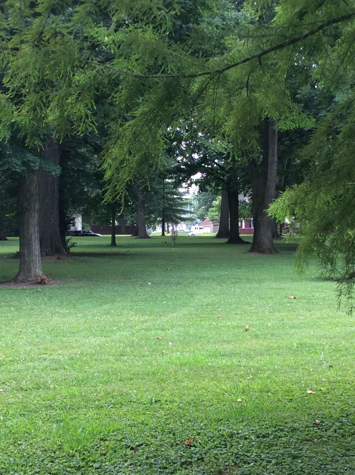 11 Target from Fairway