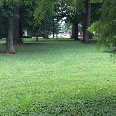 11 Target from Fairway