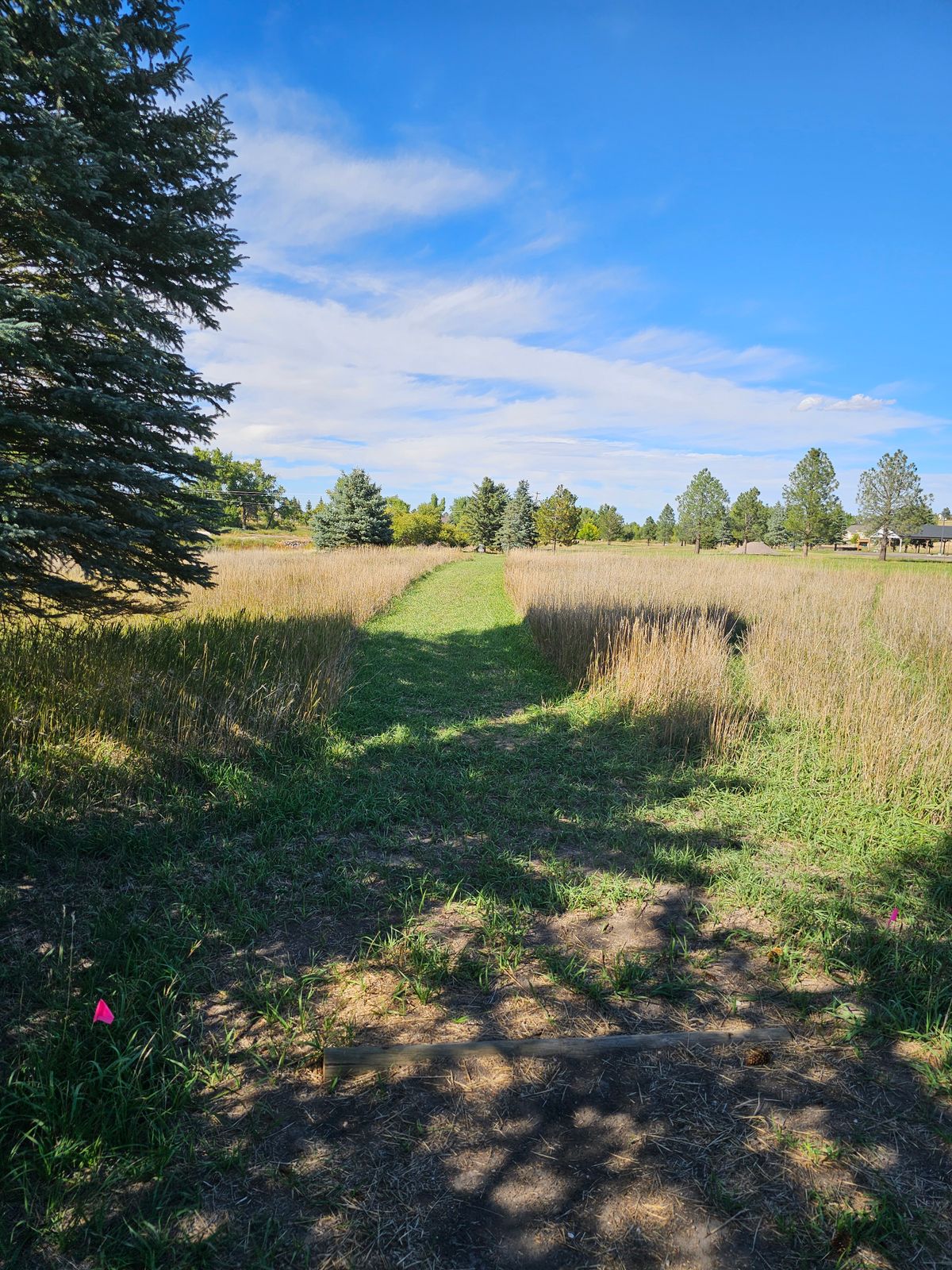 Hole 12