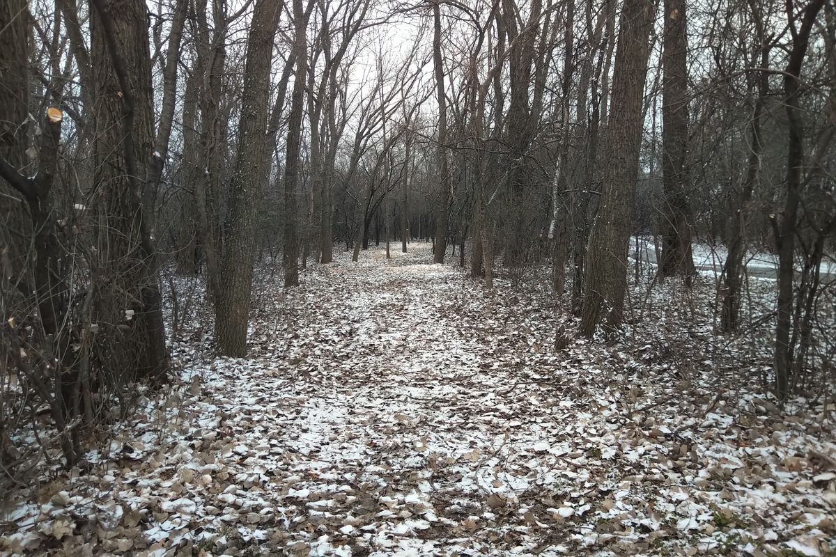 Hole 1 fairway from the tee