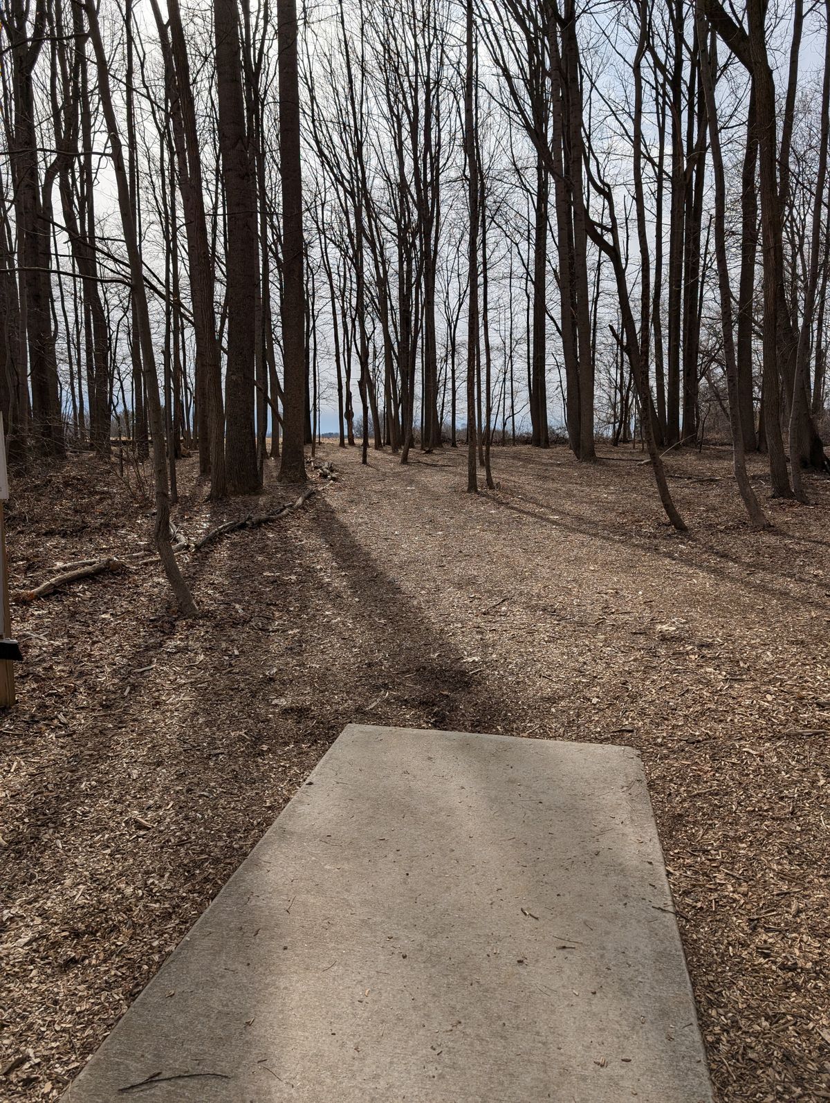 Hole 5 Hole