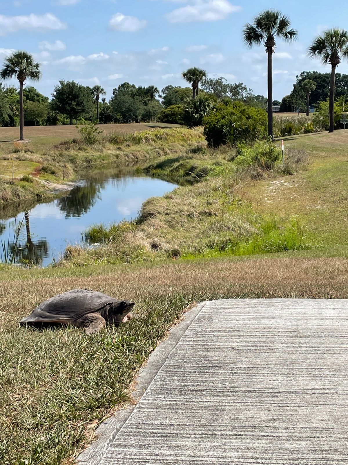 Hole 2 Short Tee Pad