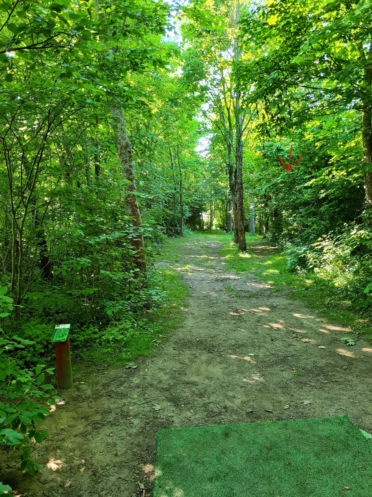 Hole 18, view from yellow tee. Basket hidden in the back.