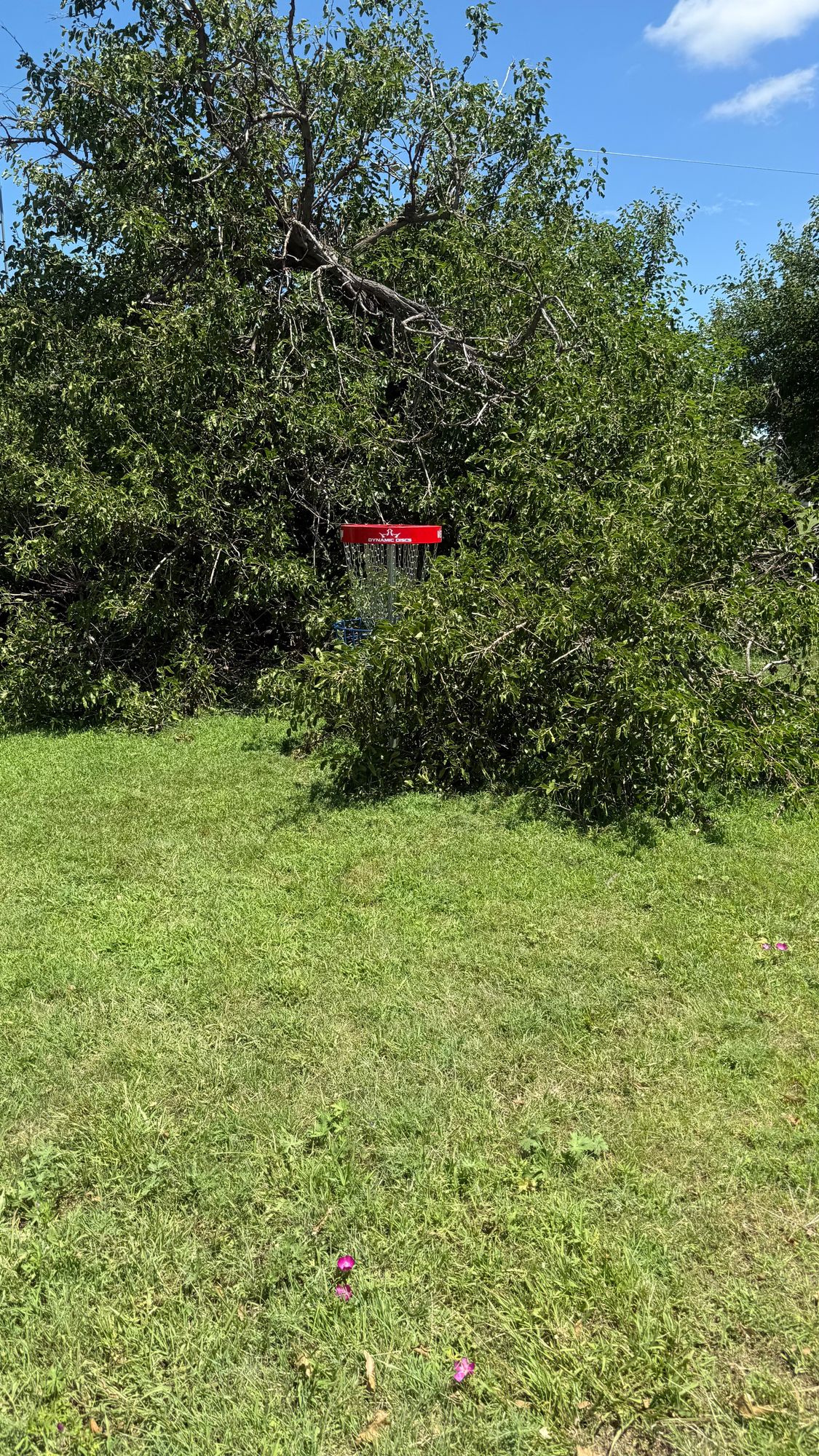 Hole 5 on 7-5-2025
