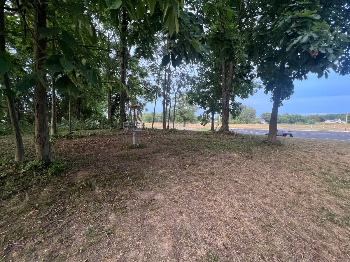 # 1 green