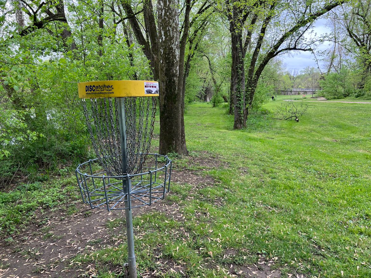 Basket 2 looking back towards the tee