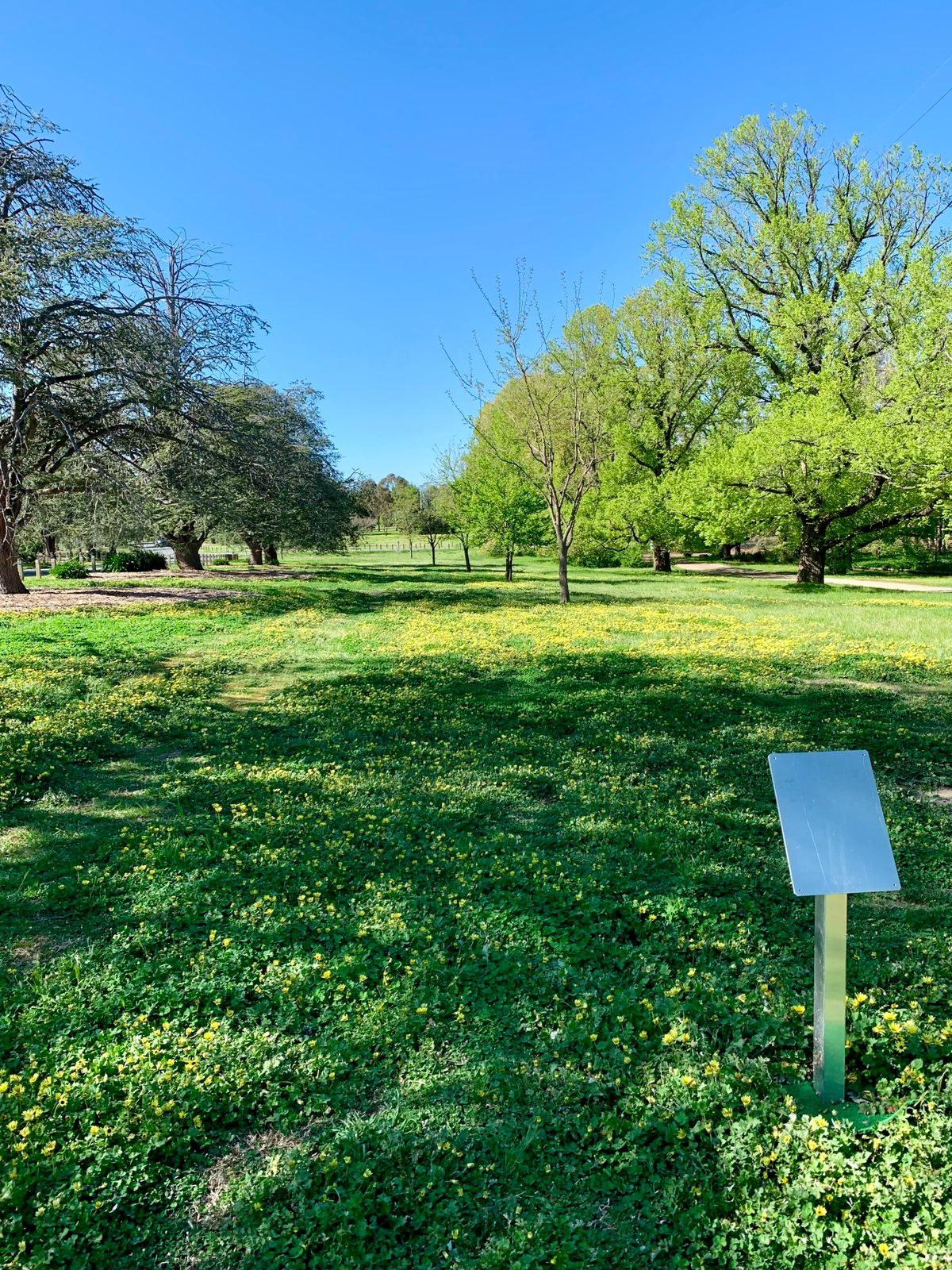 Hole 1 - par 3