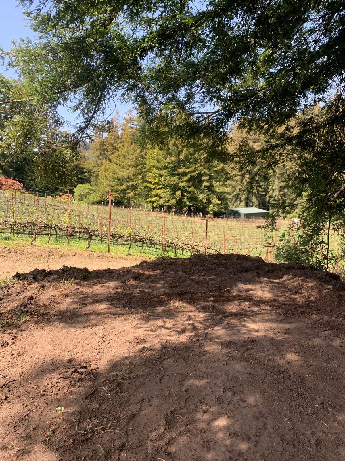 Hole 3