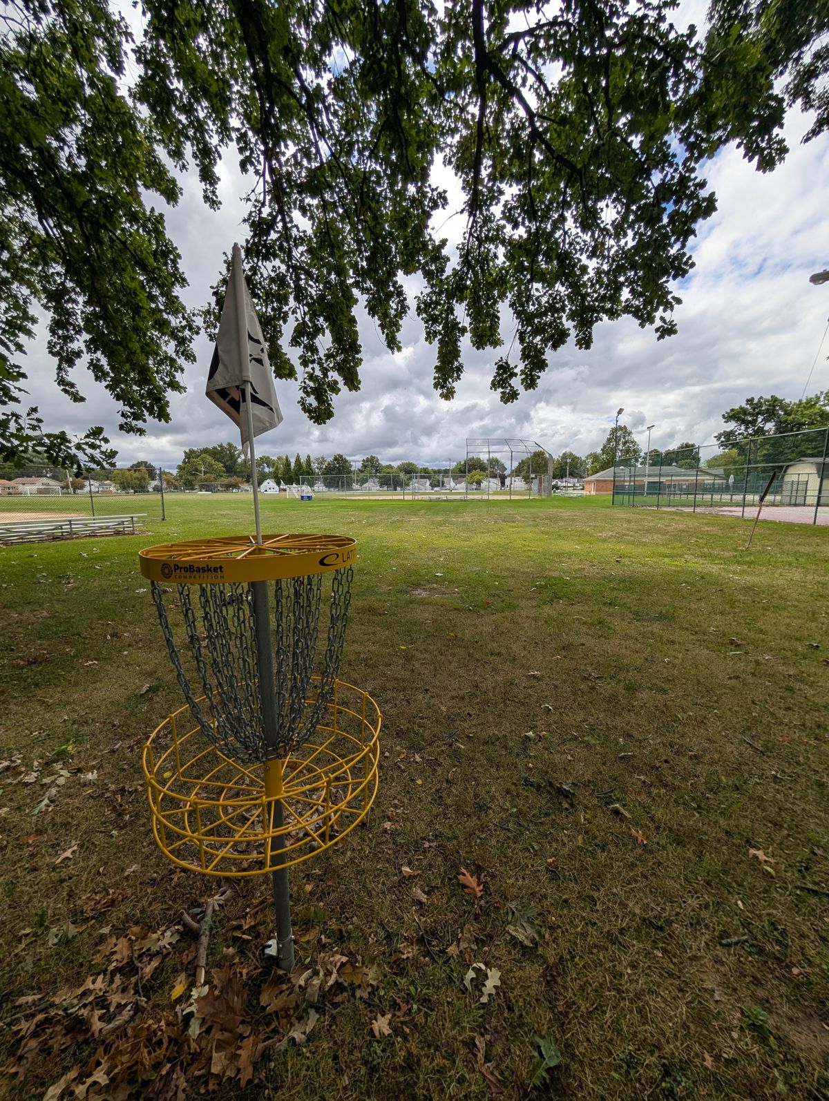 Basket view towards tee 