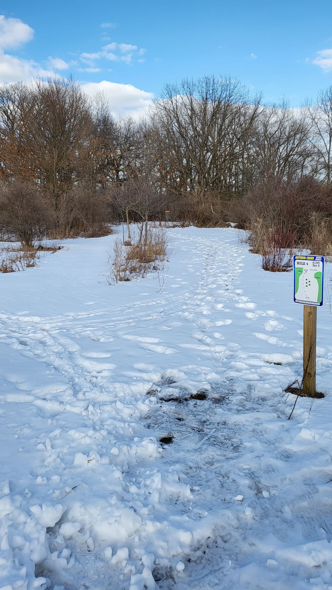 Hole 4. Feb 12, 2022