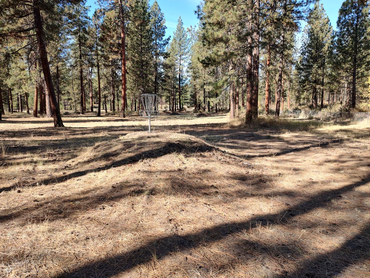 Hole 1 Basket