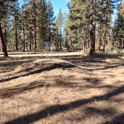 Hole 1 Basket