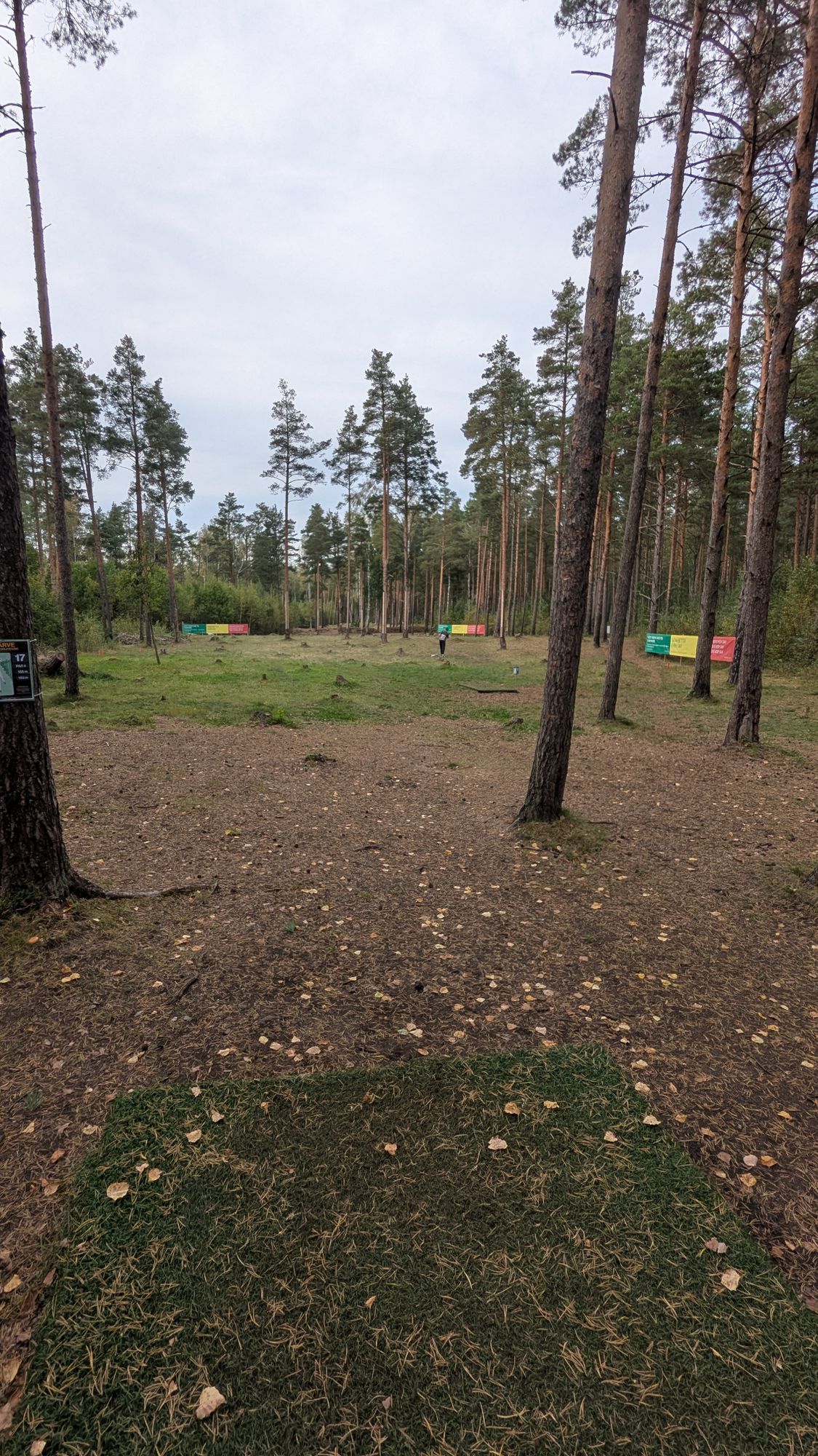 Hole 17 view from Pro teepad.
