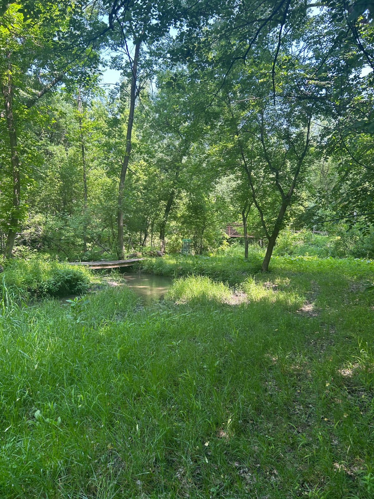 Hole 3