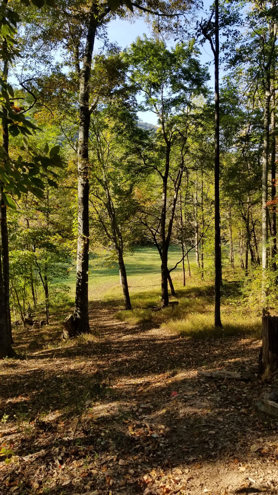 Looking back down tight fairway of hole 9
