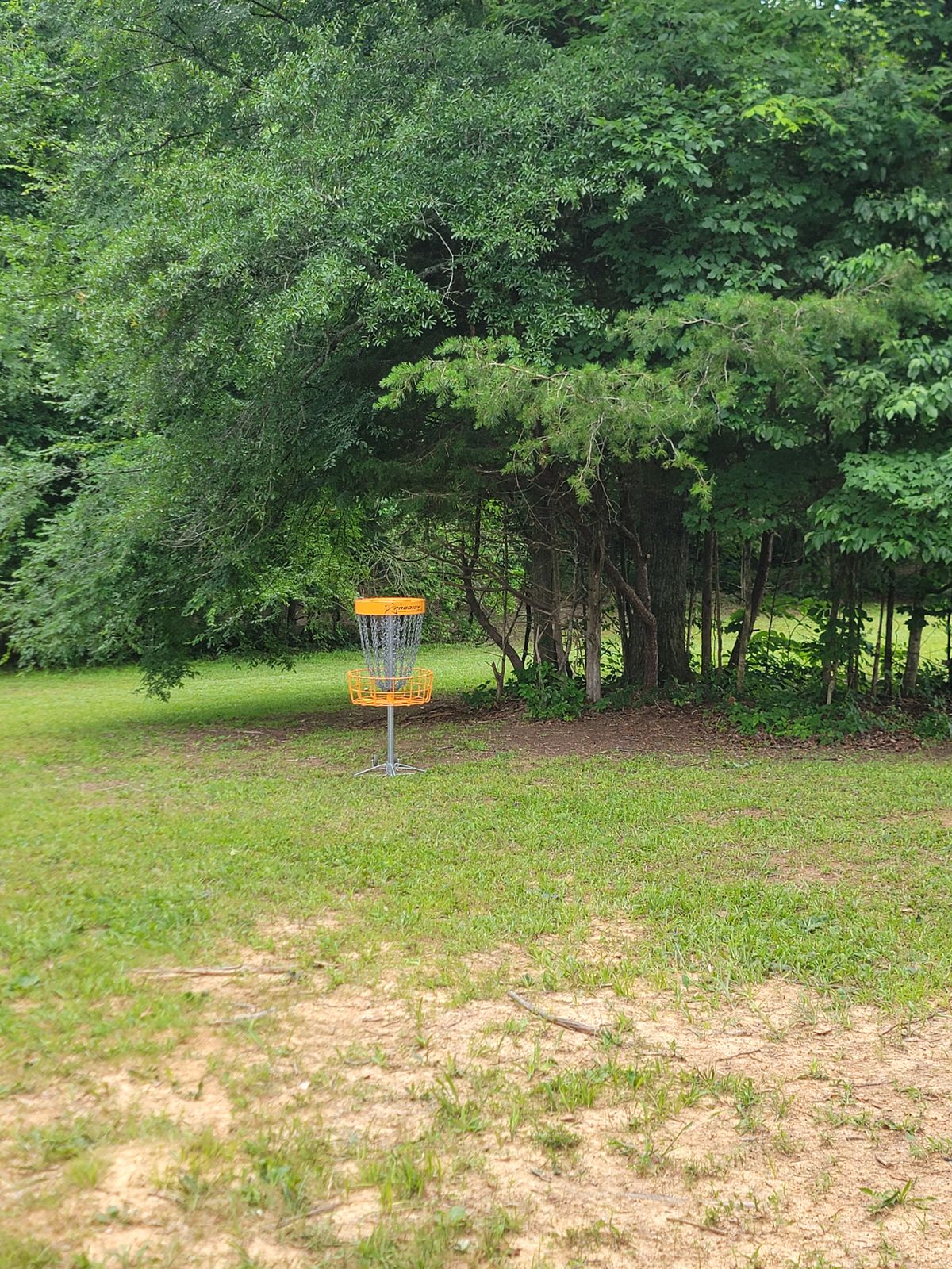 Hole 17 basket