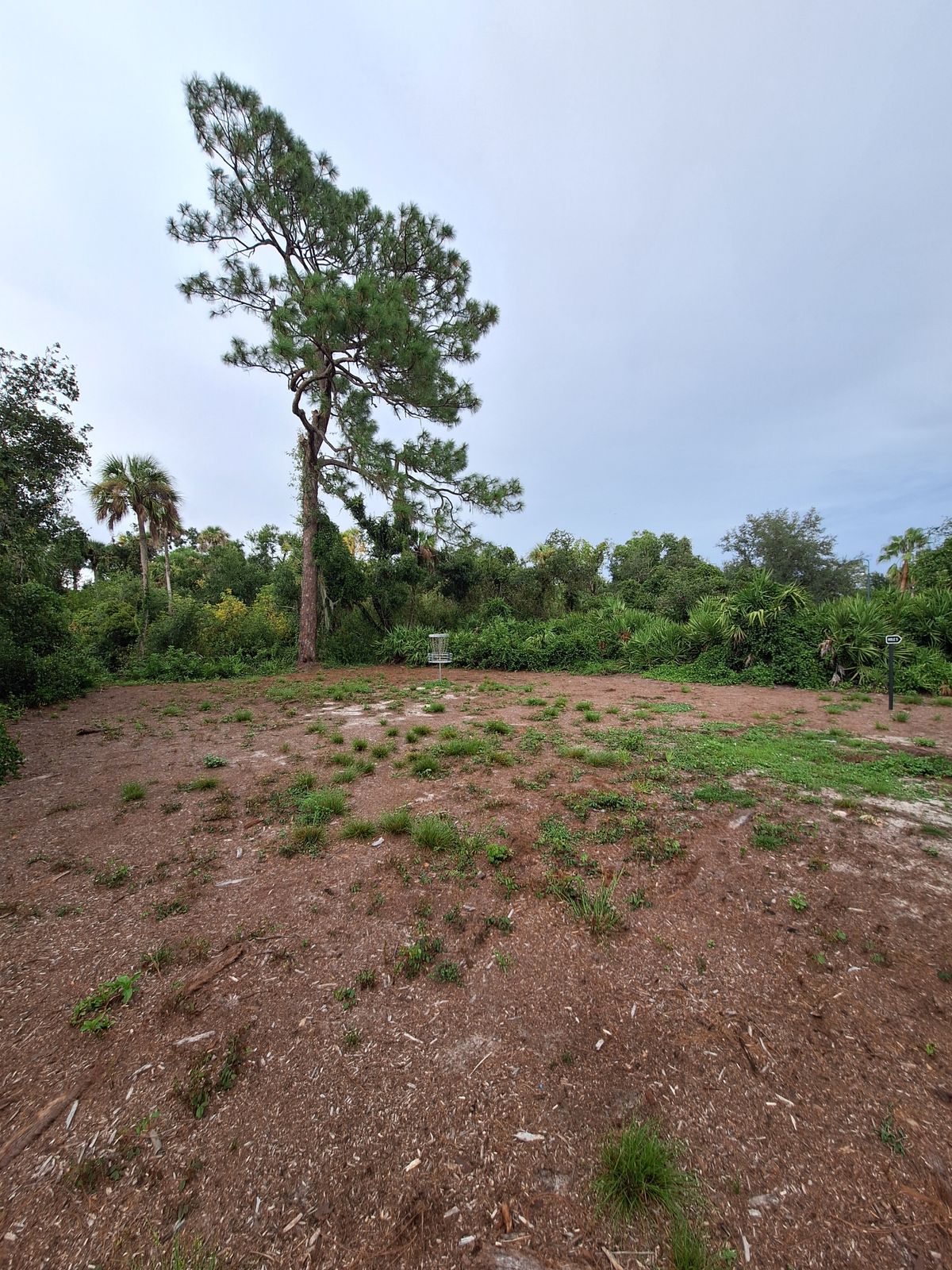 Hole 4 pin location