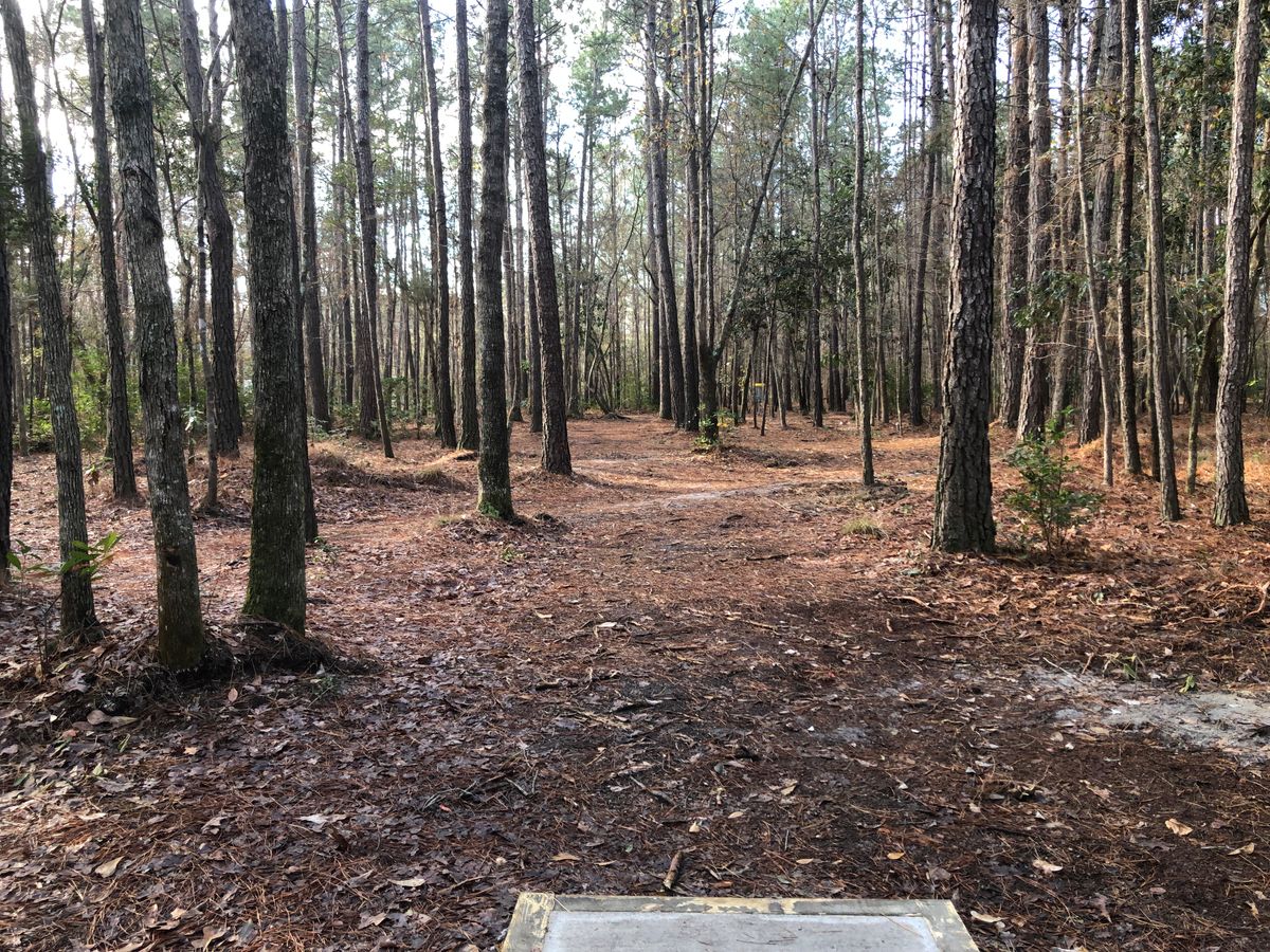 hole 3