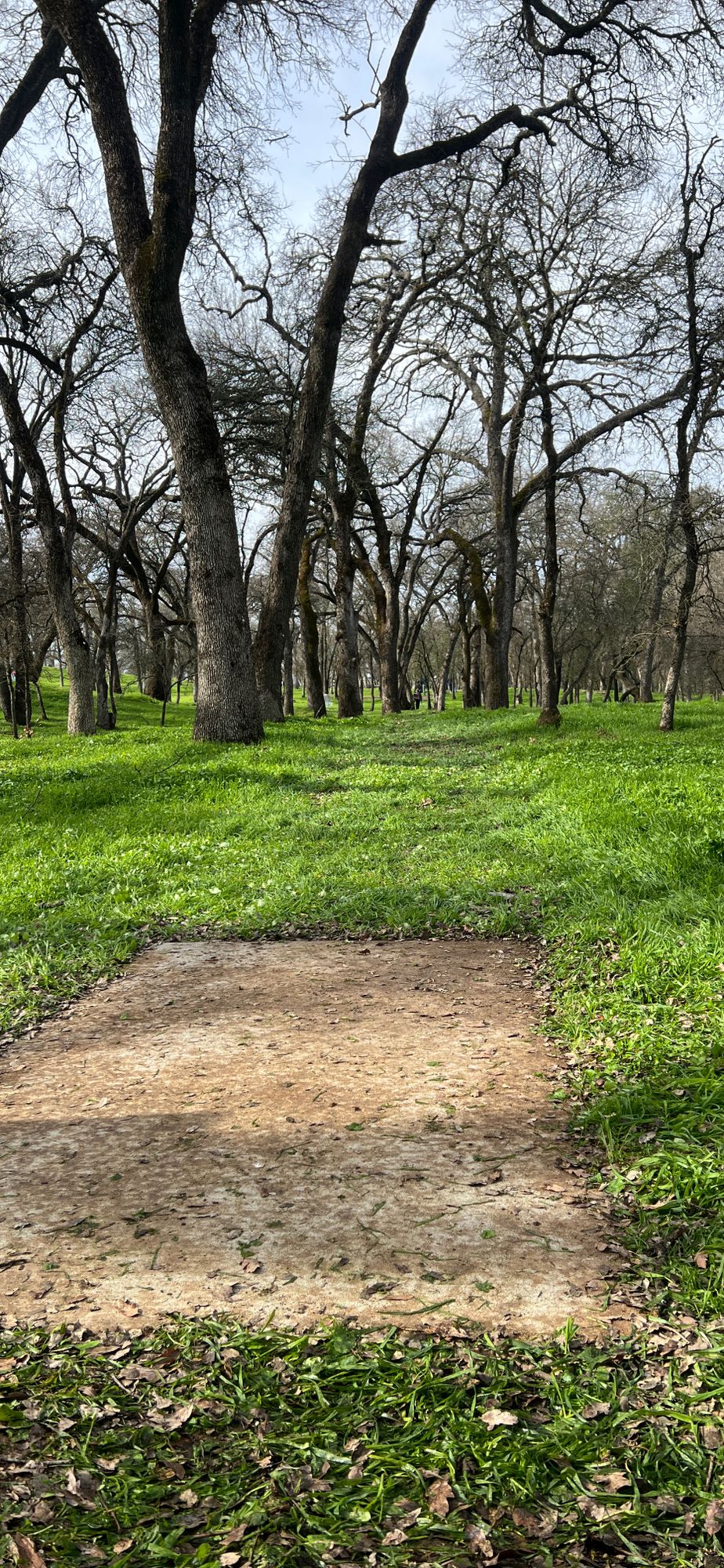 Hole 2