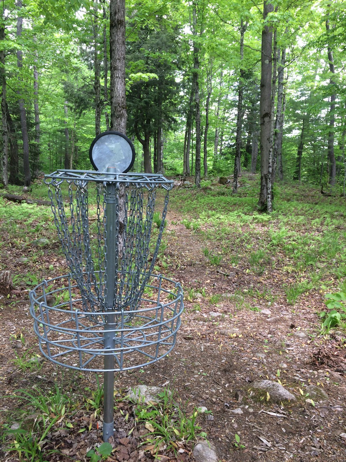 Hole 1