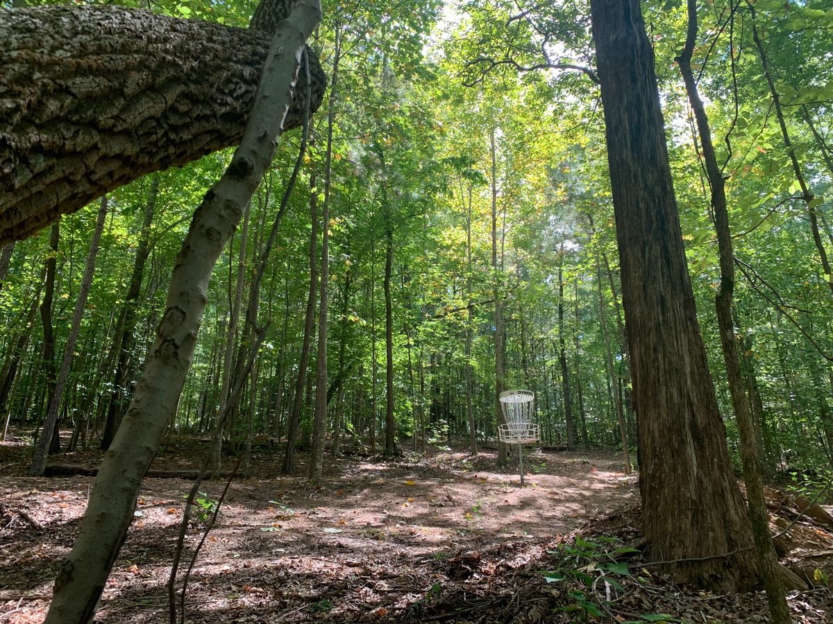 Hole 11