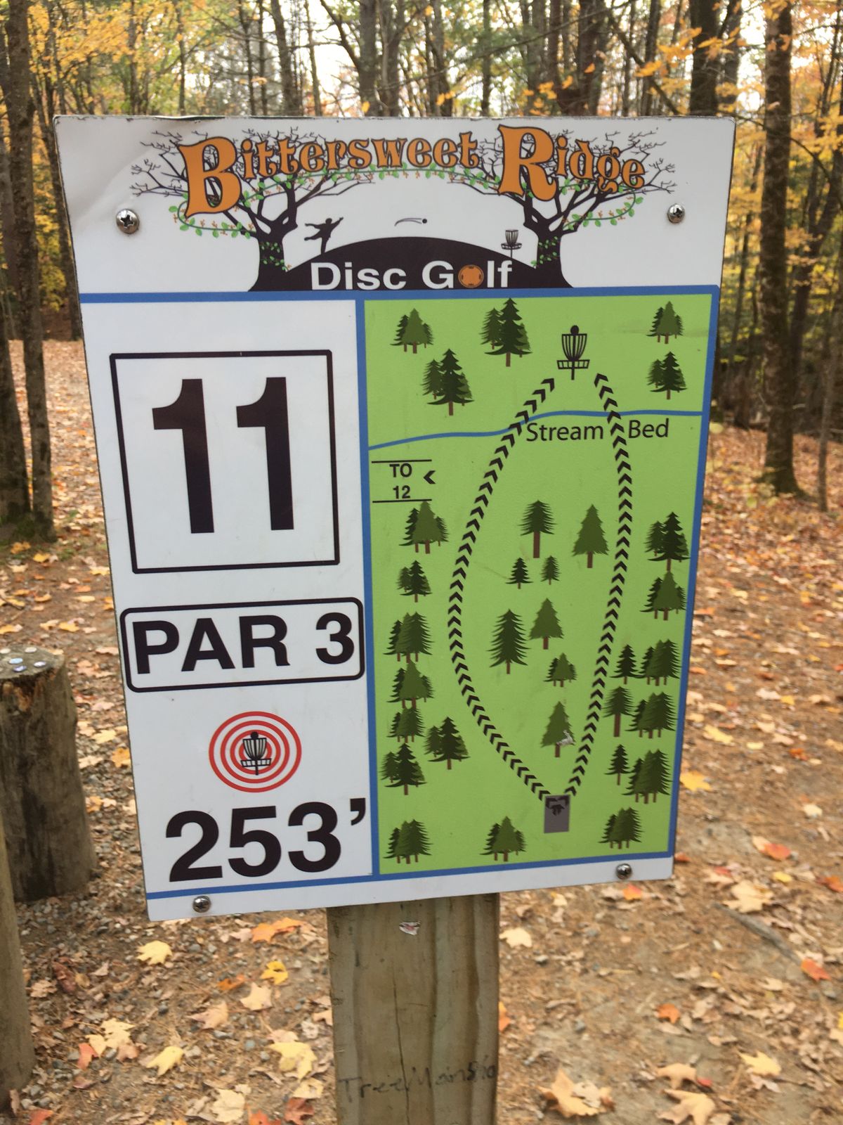 Hole 11