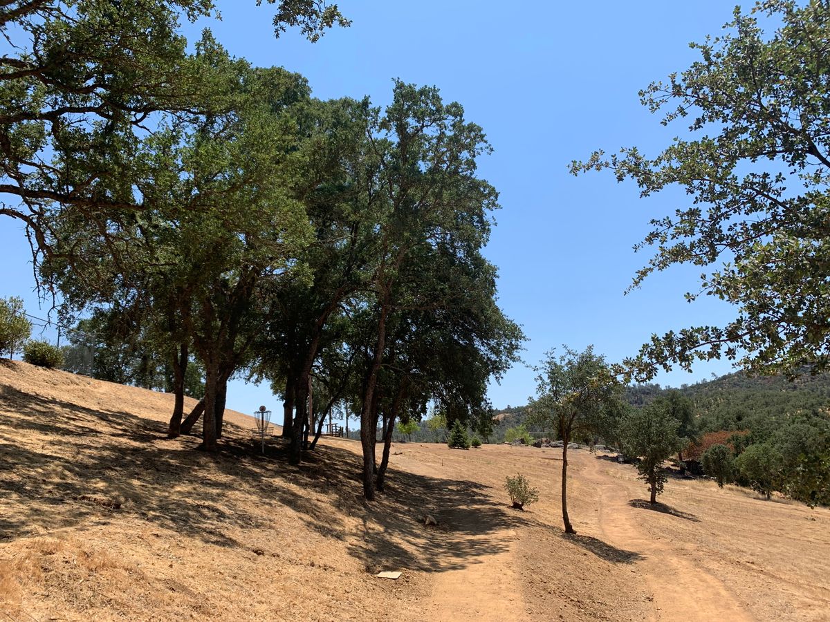 Hole 2
