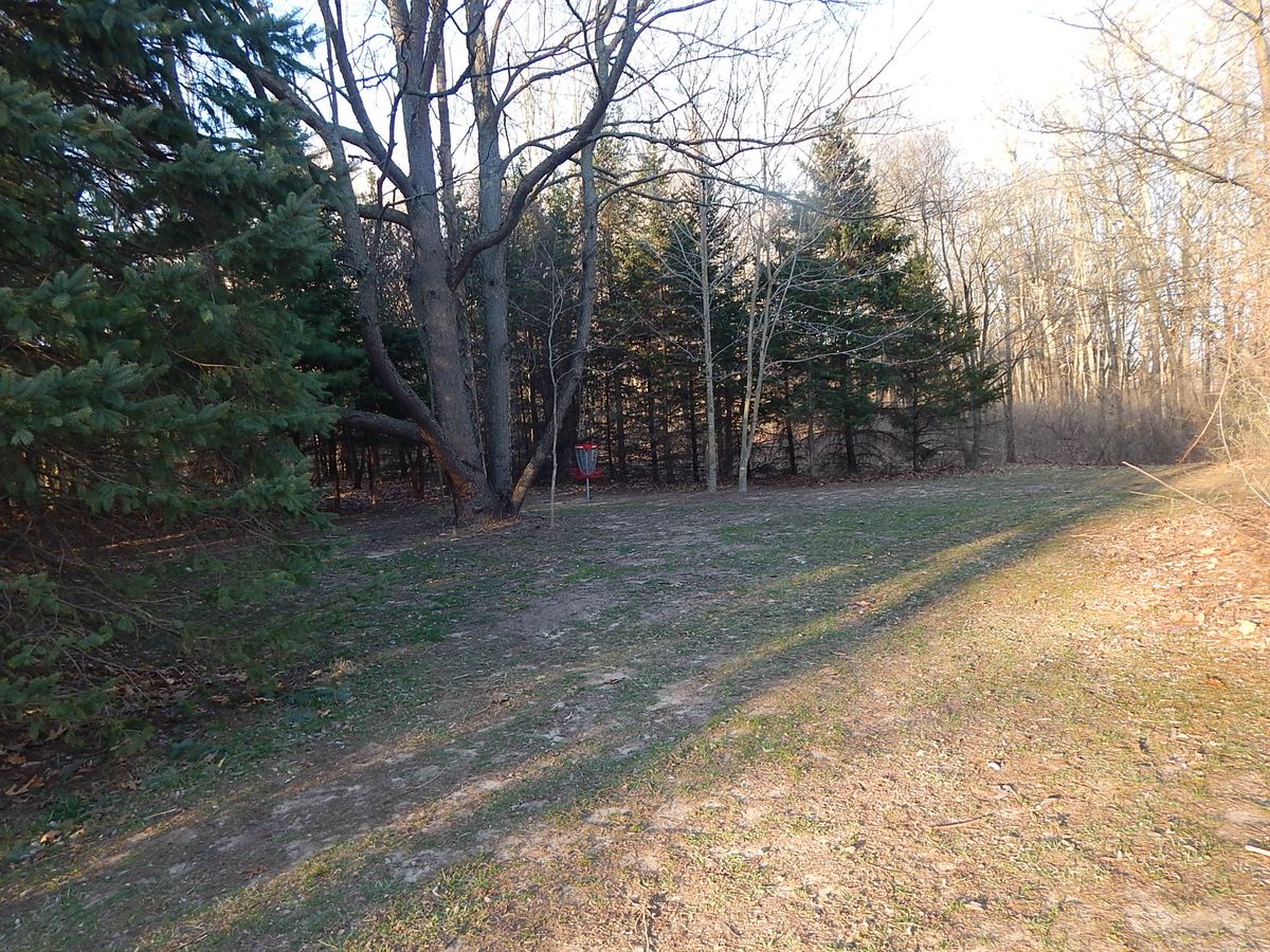 Hole 4 basket
