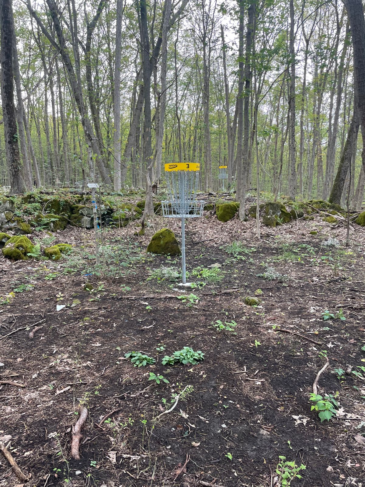 Hole 3 Basket