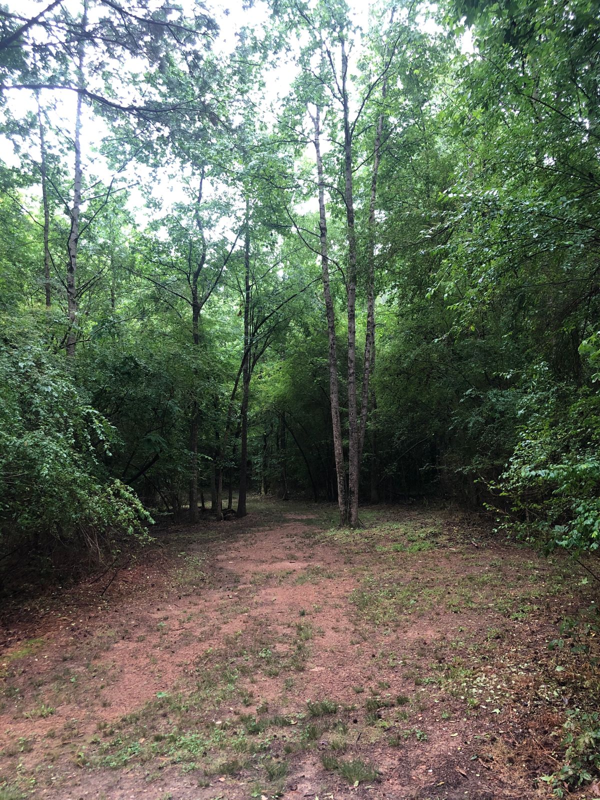 Hole 14