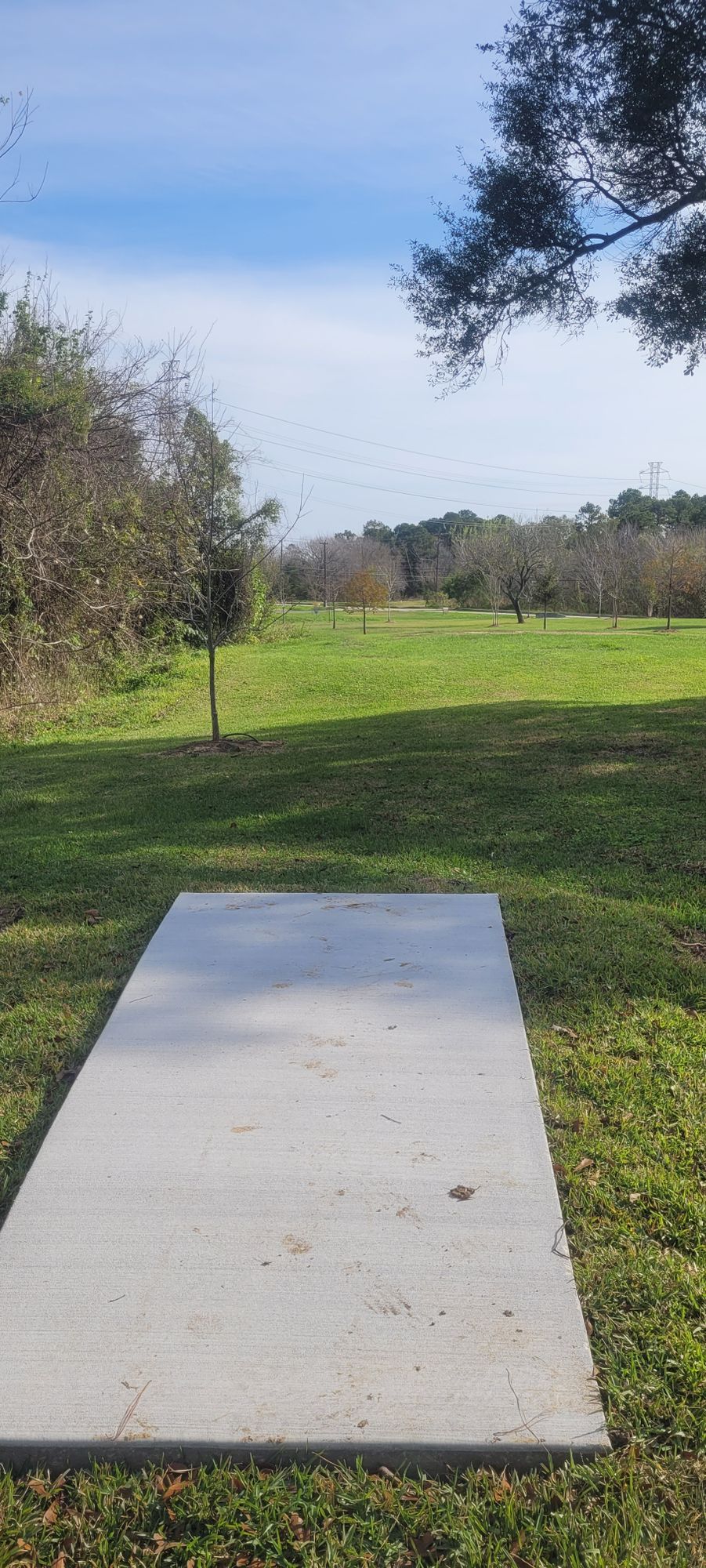 Hole 5's tee pad