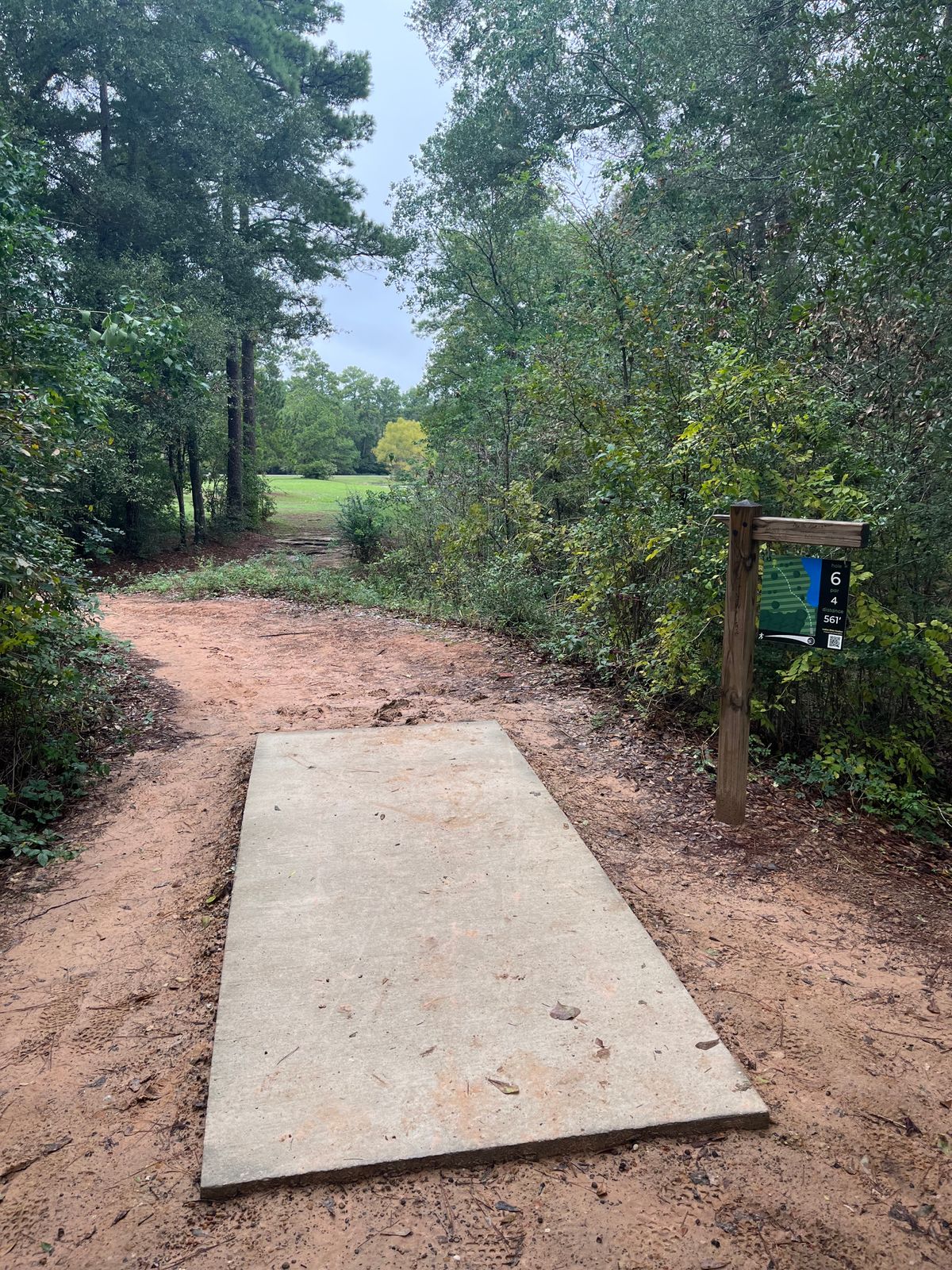 Hole 6 11/11/23