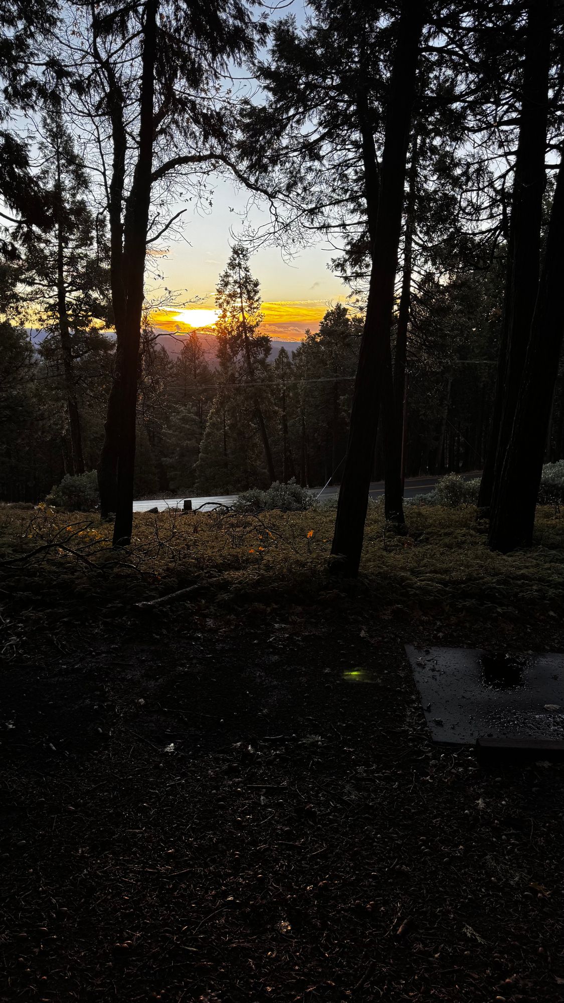 Tee of 9 at sunrise.