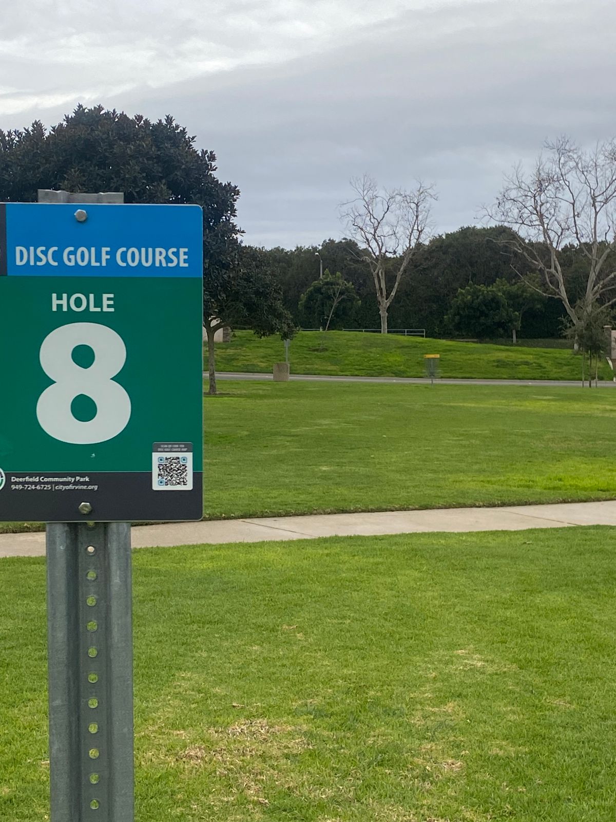 Hole 8 and basket