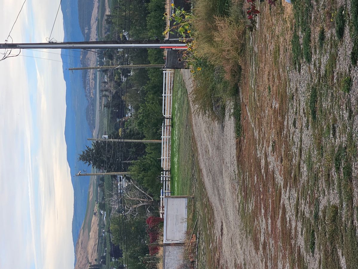 Mando left of power pole