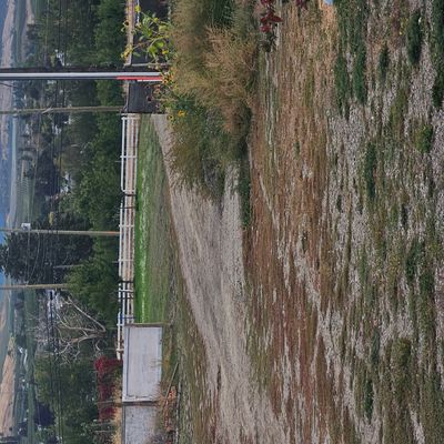 Mando left of power pole