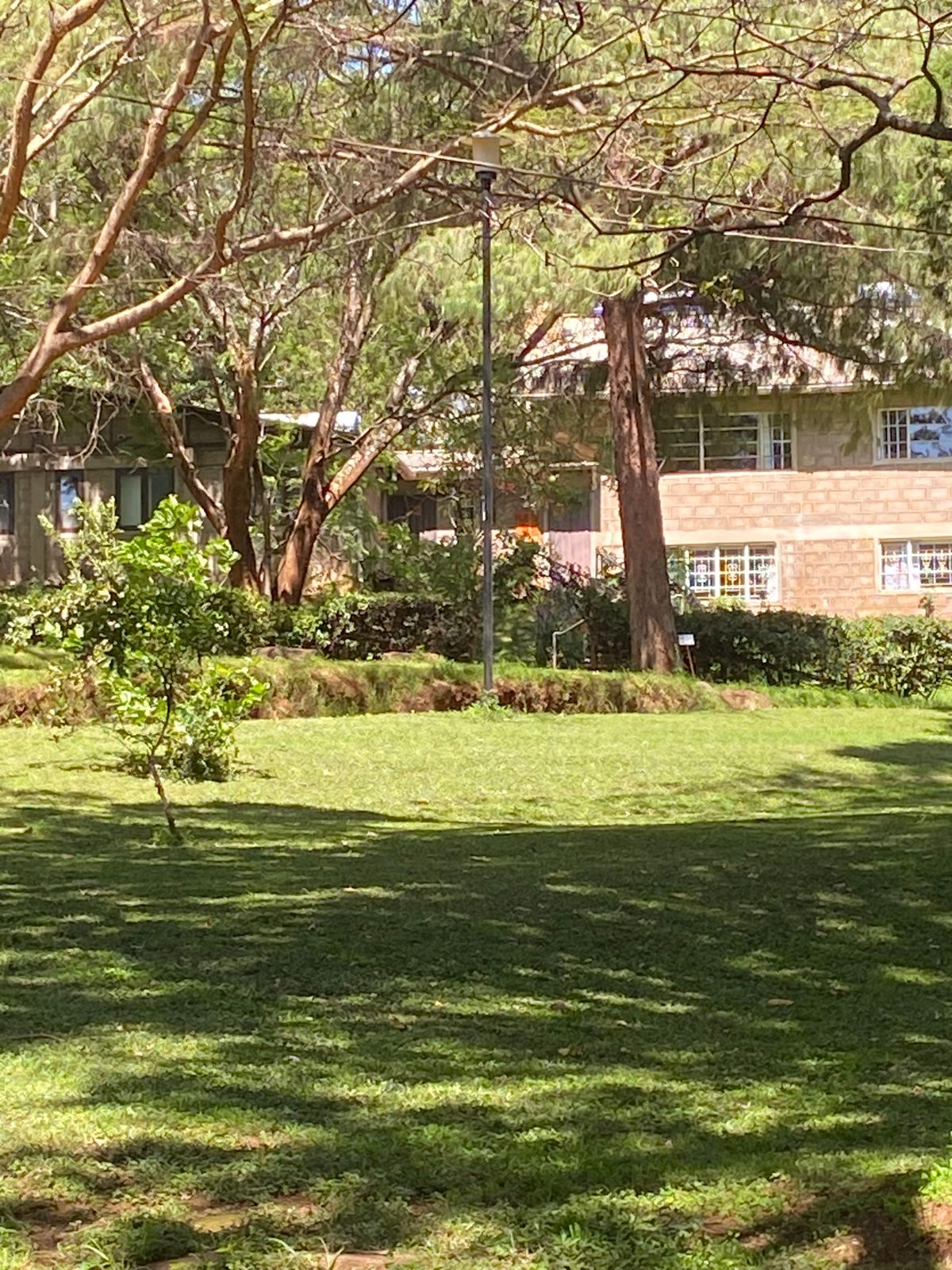 Target of hole 14 (black lightpost)