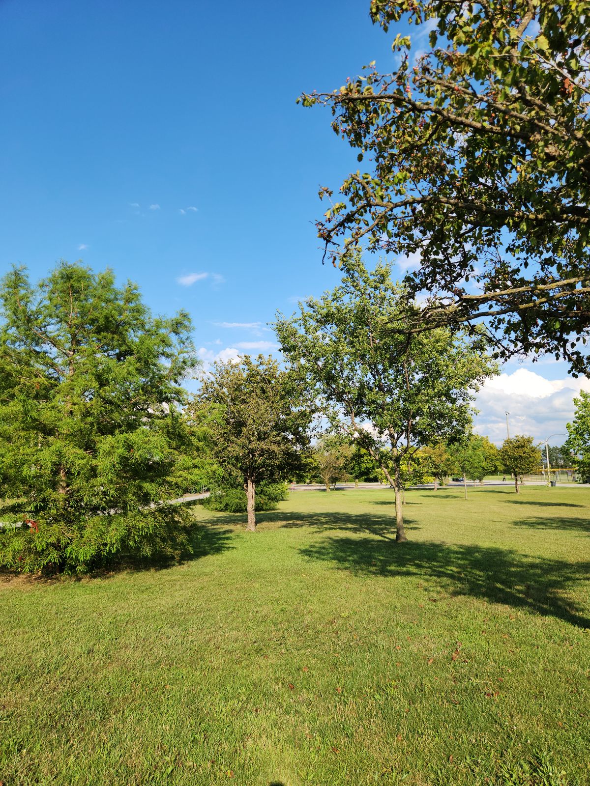 View of hole 15 from tee.