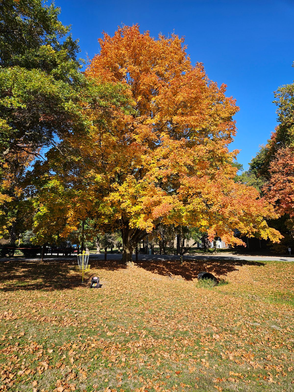 Hole C on a beautiful fall day!